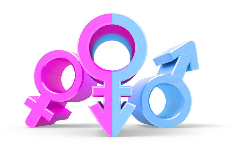Itinerari formatiu sobre igualtat de gènere i violències masclistes i LGBTIfòbiques