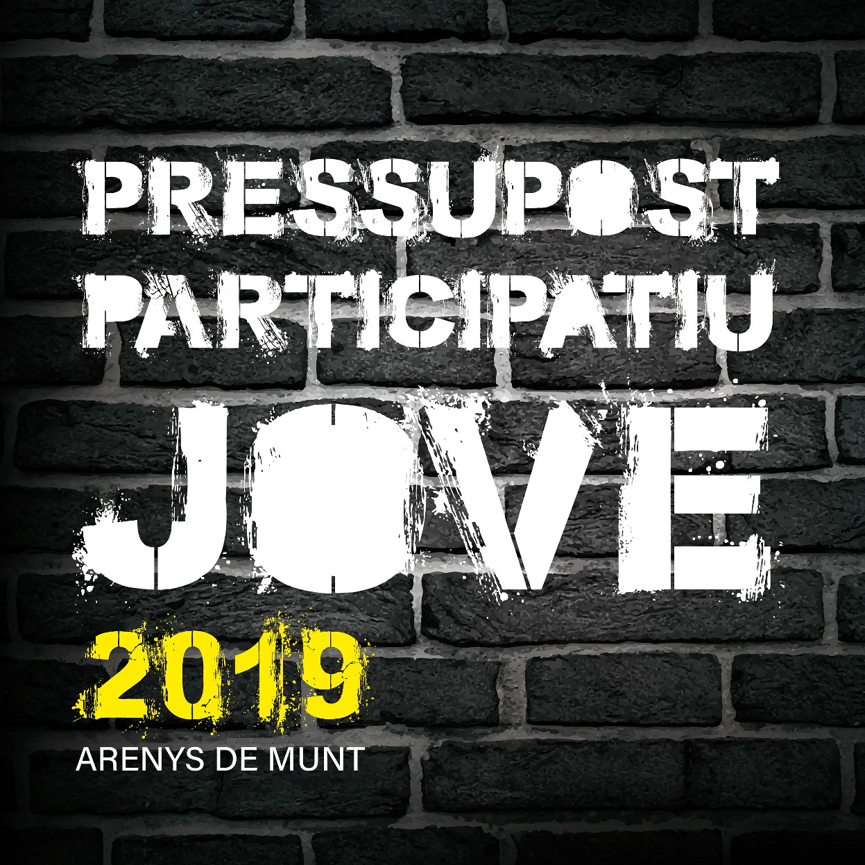 Logo Pressupost Participatiu Jove 2019