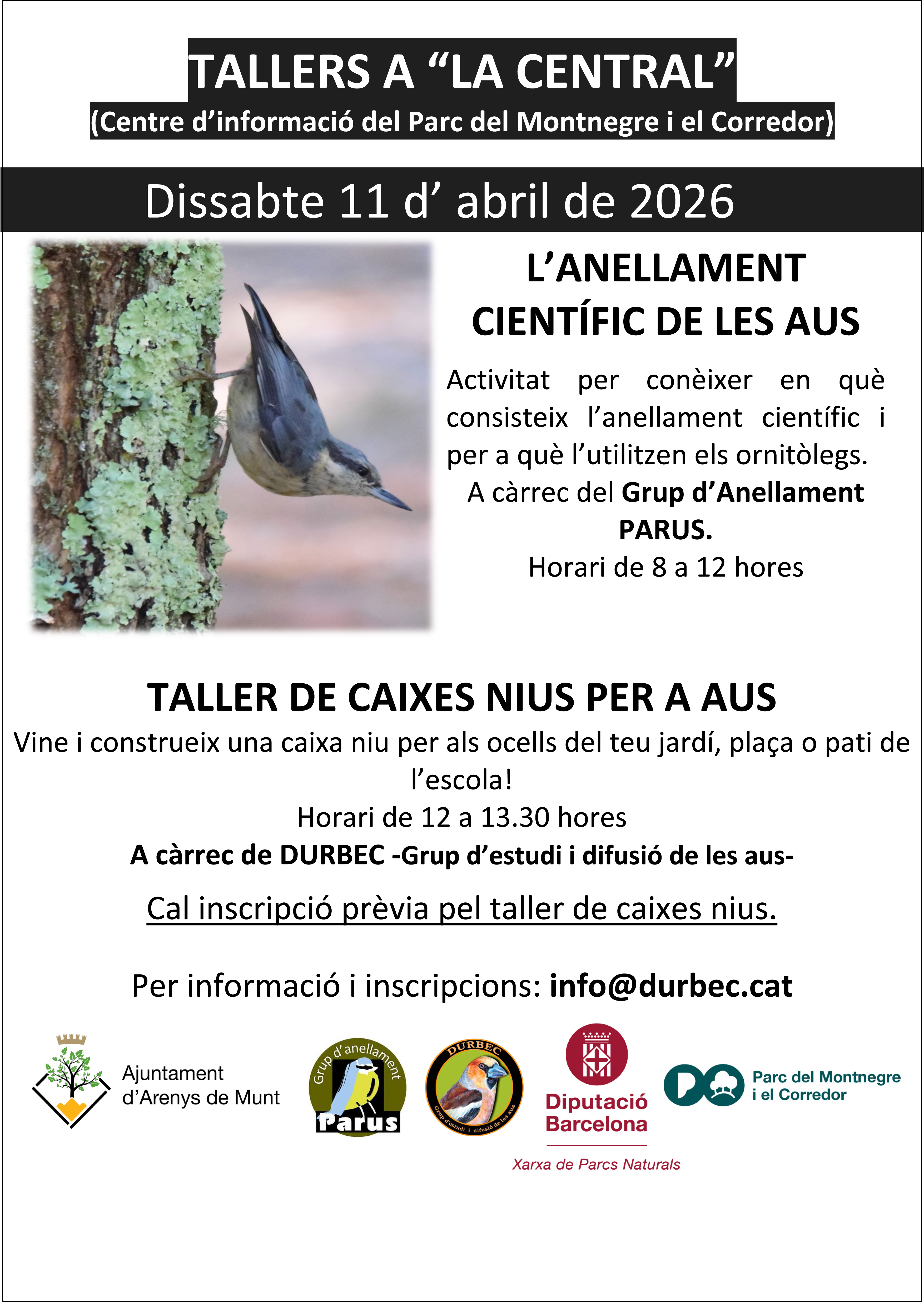 Tallers d'aus: anellament i caixes niu