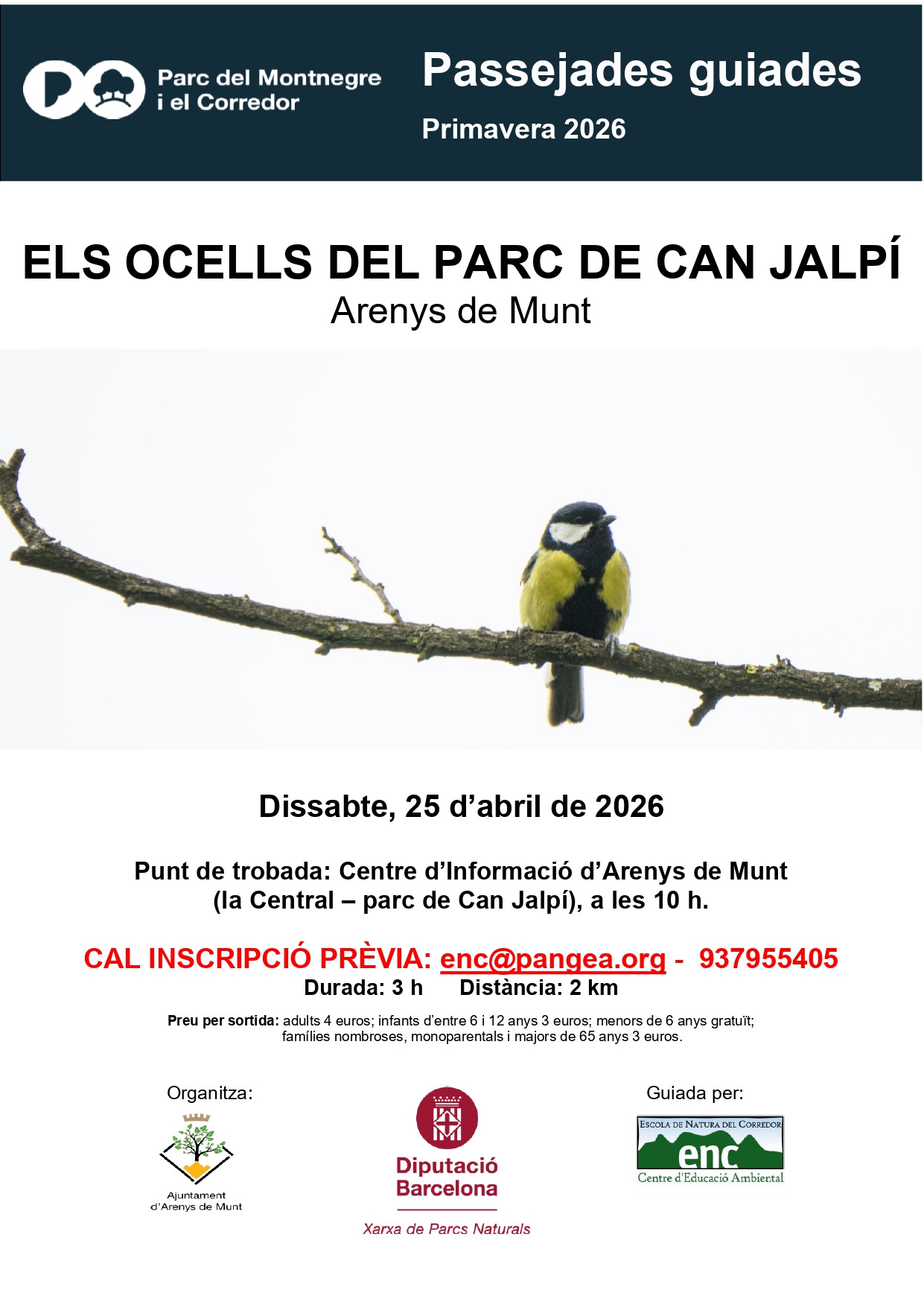 Els ocells del parc de Can Jalp&iacute;. Passejada guiada.