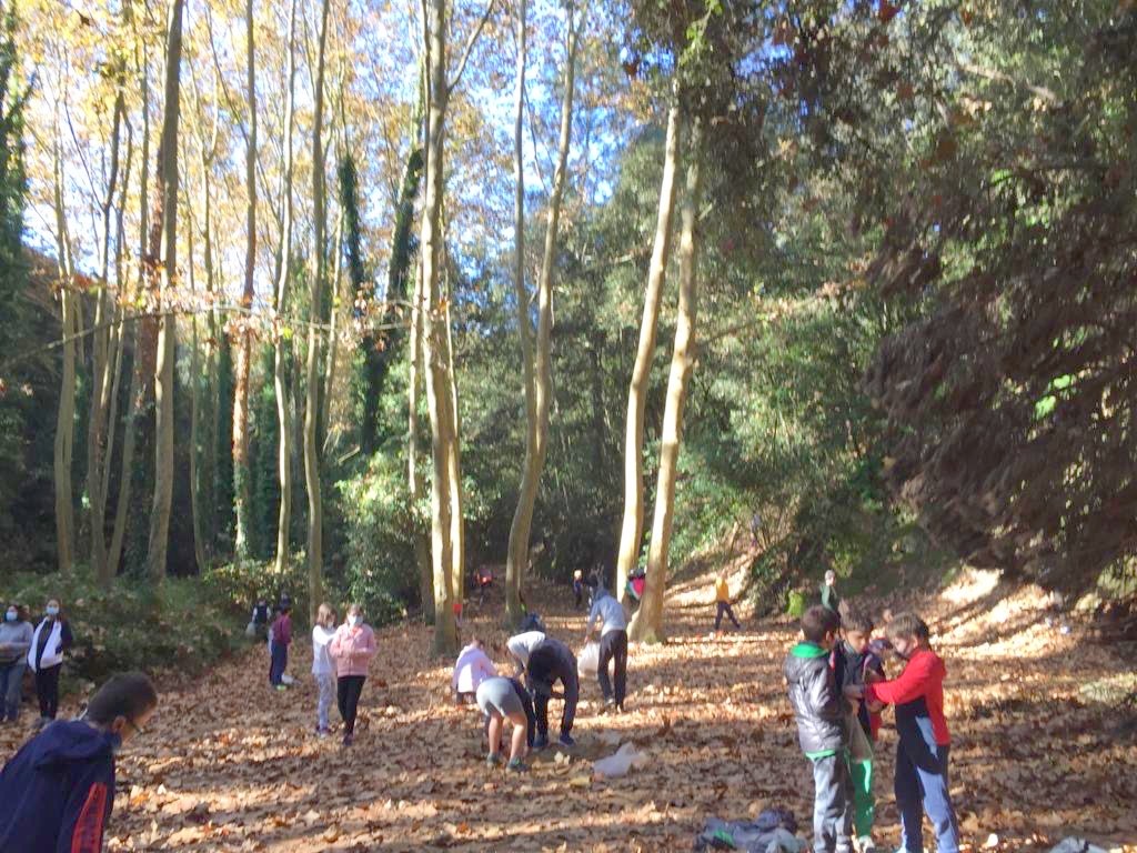 Escola Sobirans - El bosc a la tardor