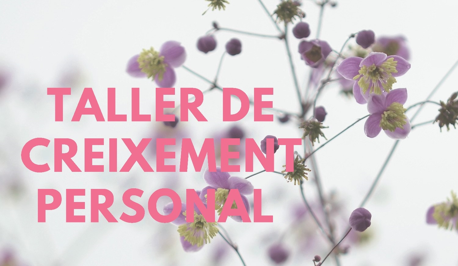 Obertes les inscripcions al taller de creixement personal