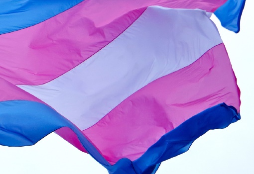 Bandera trans