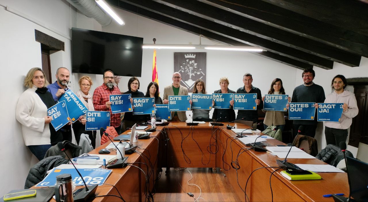 Campanya #SAYYES a l'oficialitat del català