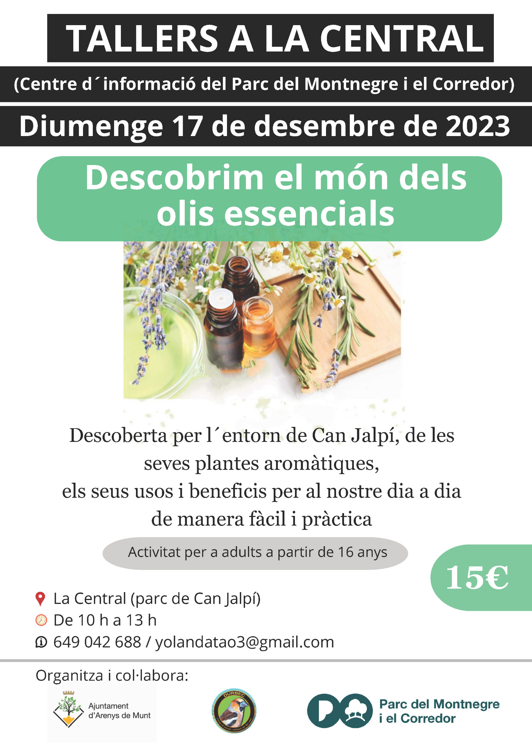 Descobrim el món dels olis essencials