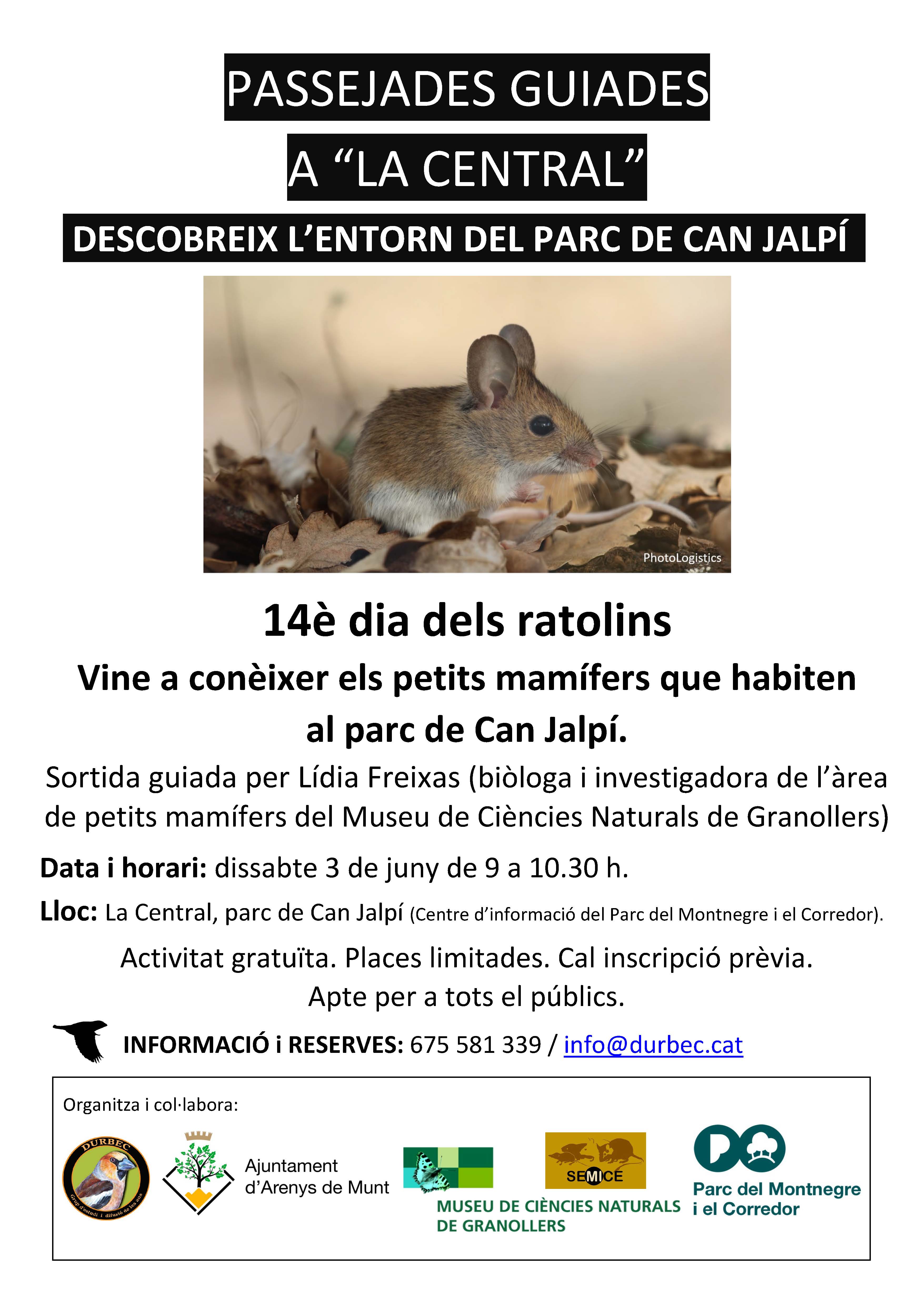 14è dia dels ratolins
