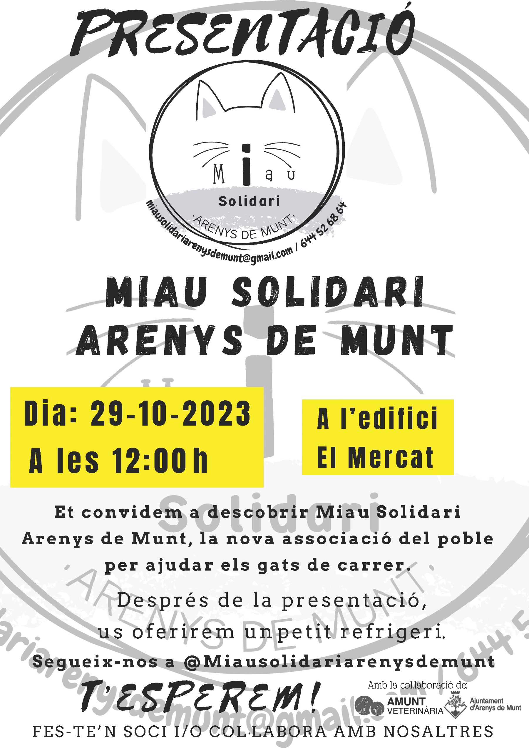 Cartell Presentaci&oacute; Miau Solidari 29-10-23