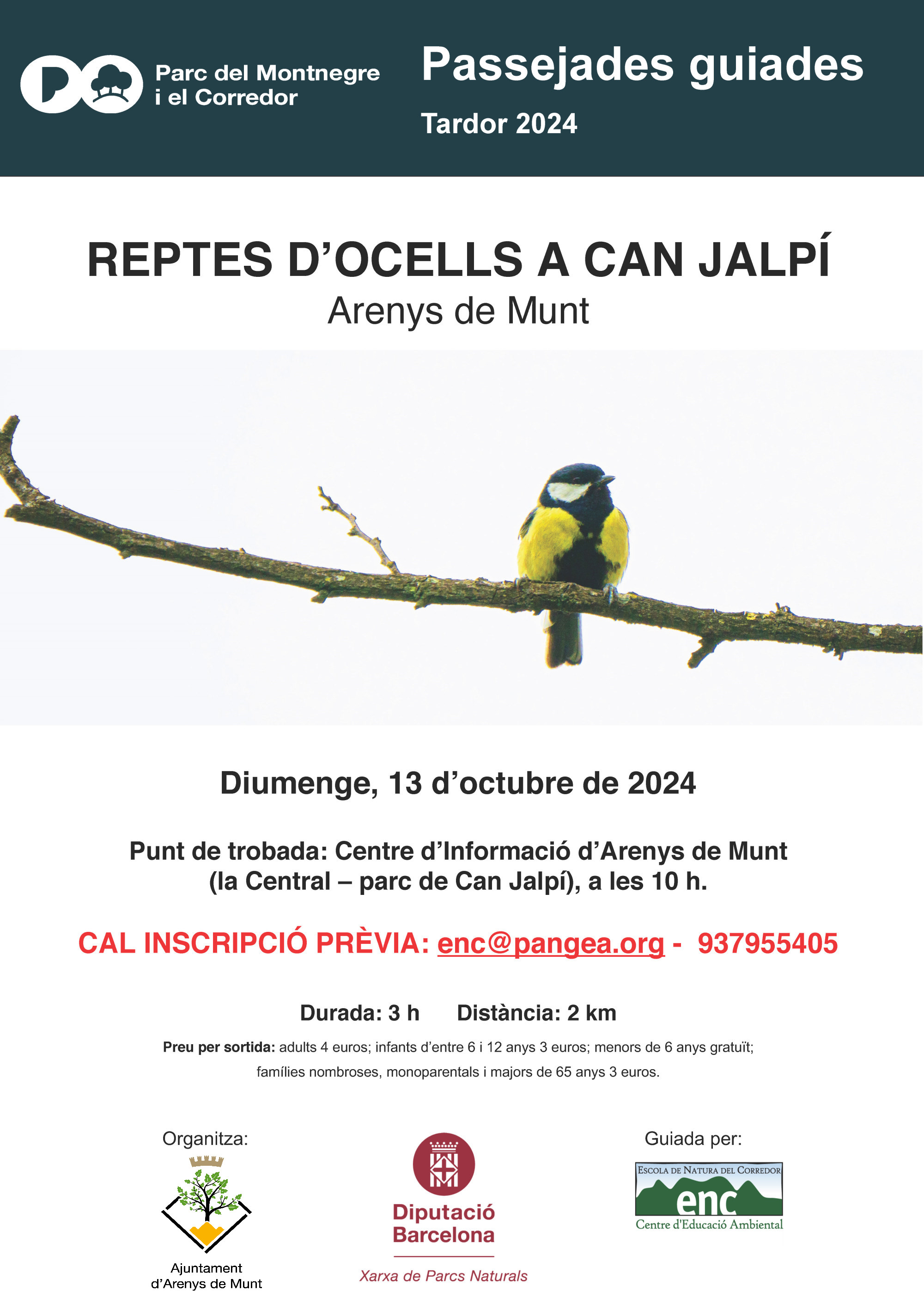 Cartell Reptes d'ocells a Can Jalpí 13-10-24