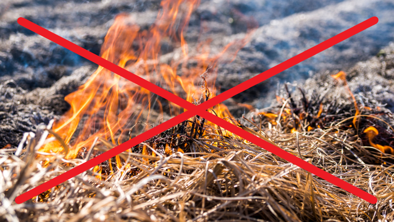 Comunicació per crema de restes agrícoles i focs d'esbarjo