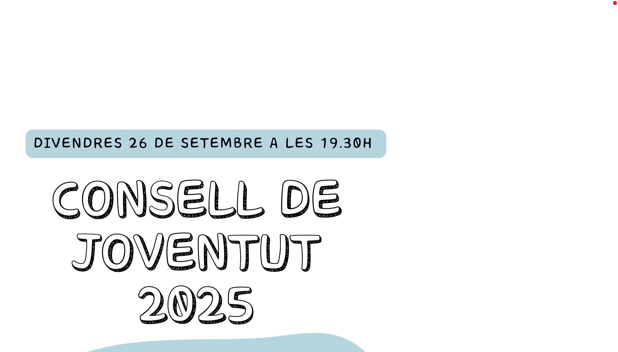 Celebració del Consell de Joventut