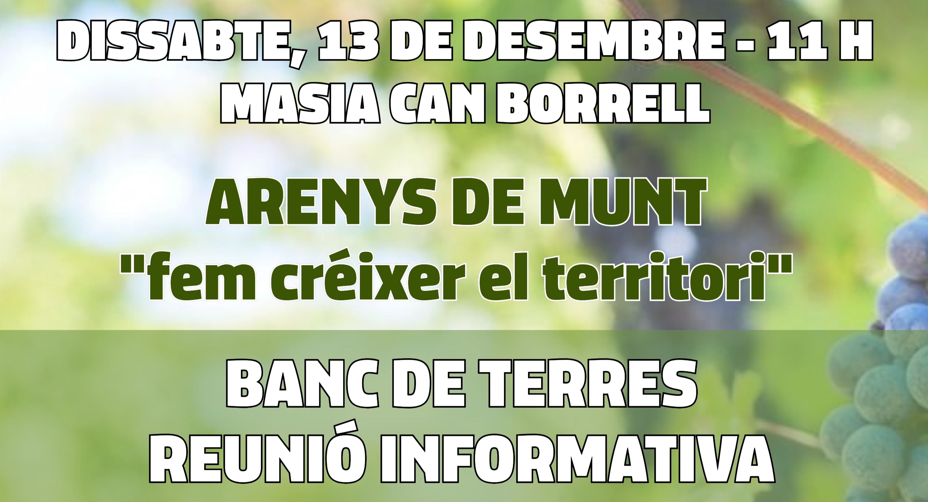Arenys de Munt impulsa un Banc de Terres per fomentar el relleu generacional i recuperar el patrimoni agrícola