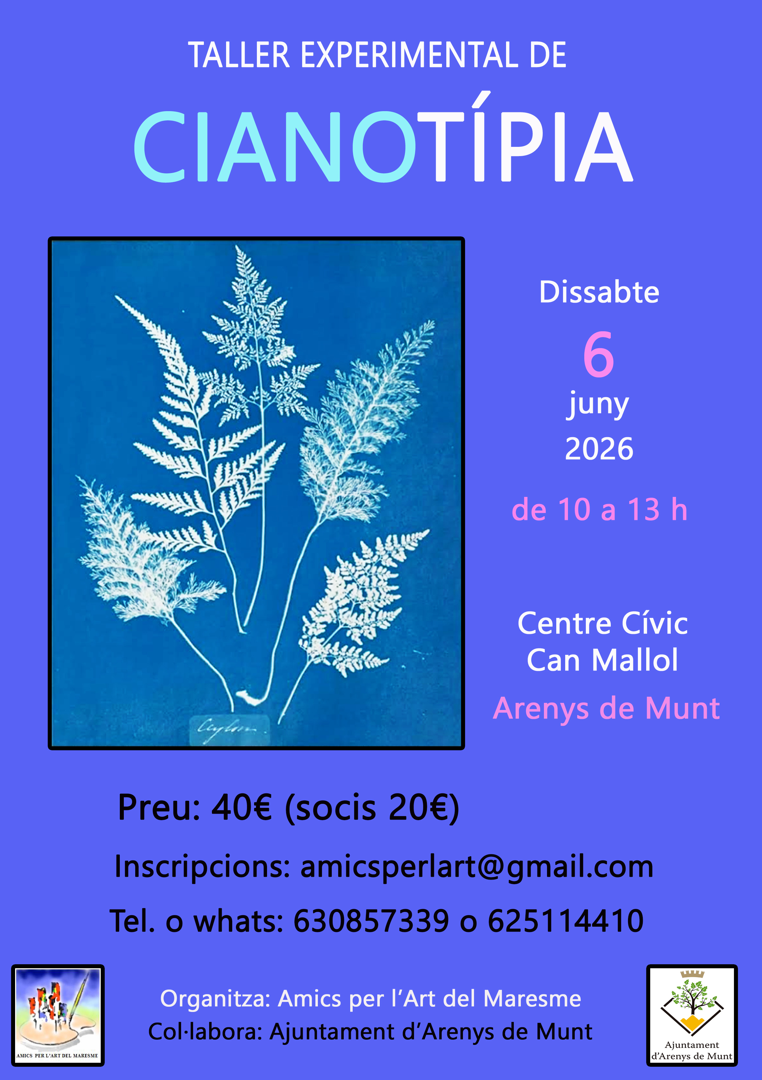 Taller experimental de CIANOTÍPIA