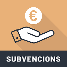 Subvencions