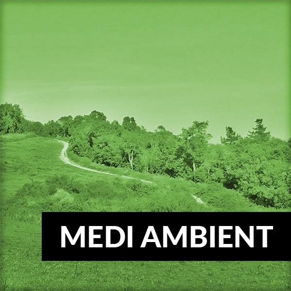 Medi Ambient