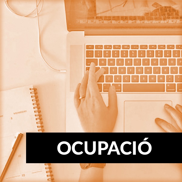 Ocupació