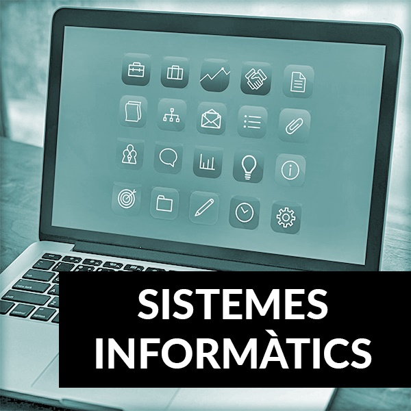 Sistemes Informàtics