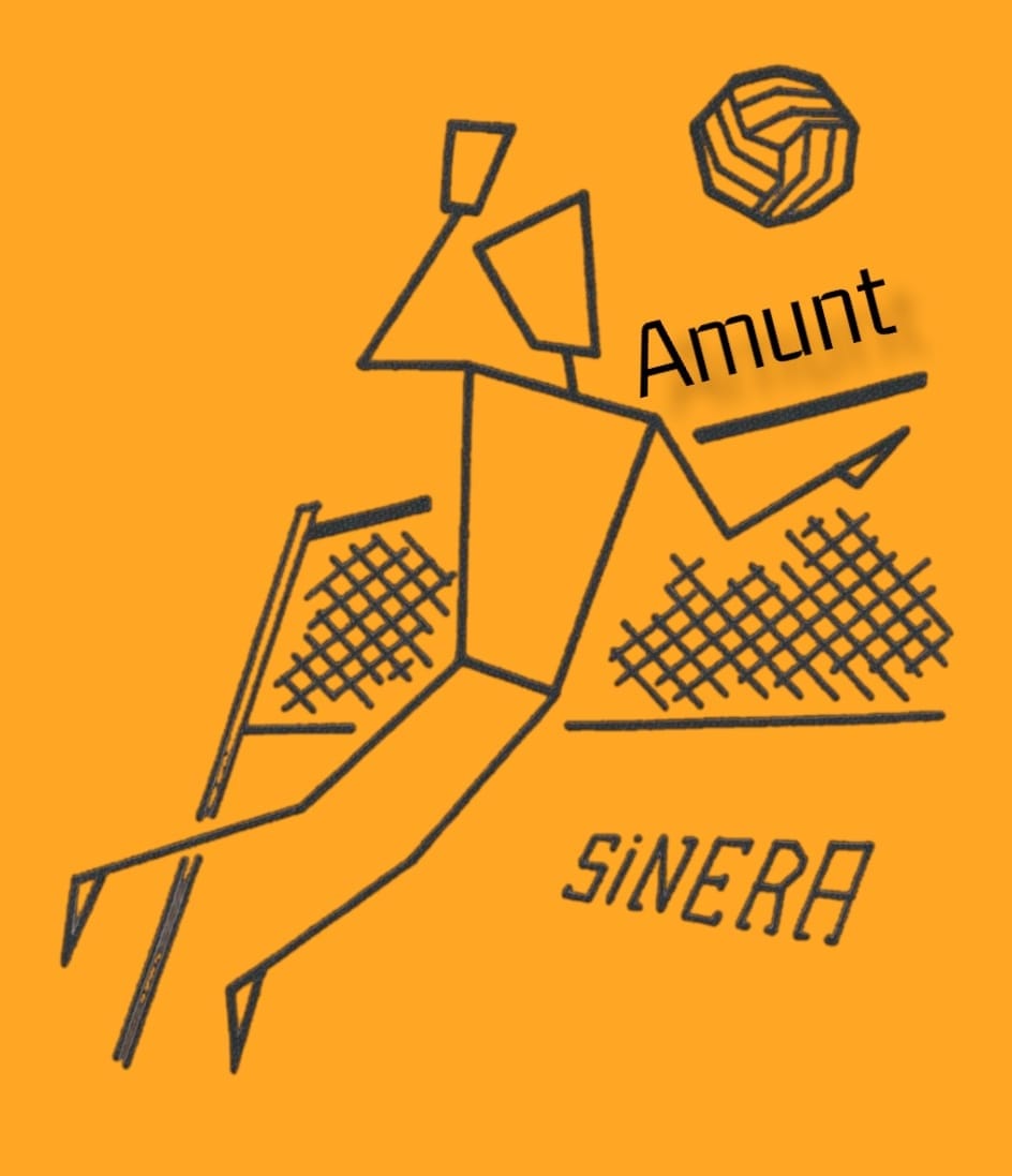 Club Volei Amunt Sinera