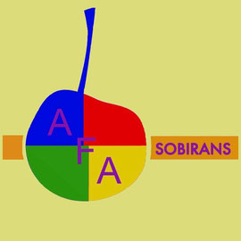 AFA Escola Sobirans