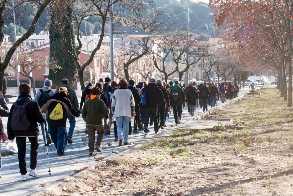 Arenys de Munt (20-1-2016)