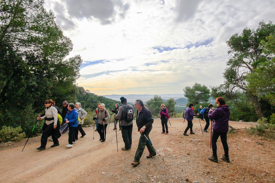 Sant Llorenç del Munt (11-2-2015)