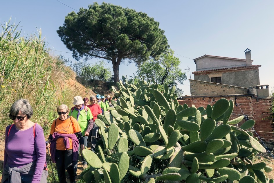  Excursió a Arenys de Munt (15-3-2017)